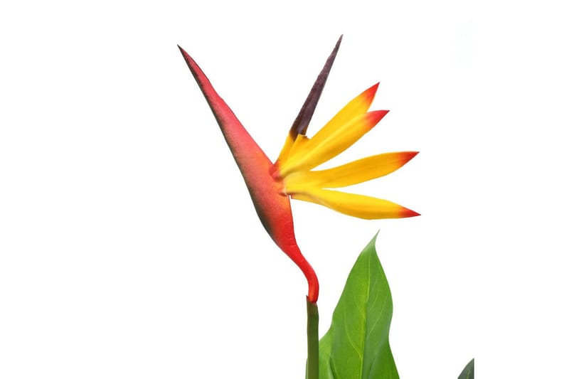 Konstväxt papegojblomma 66 cm - Flerfärgad - Konstväxt & plastblommor - Blomsterdekoration