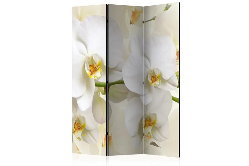 Kadira Rumsavdelare 135x172 cm VALUE_MISSING_1