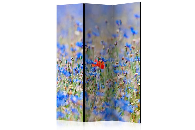 Rumsavdelare A Sky-Colored Meadow - Cornflowers 135x172 cm - Artgeist sp. z o. o. - Rumsavdelare - Vikvägg