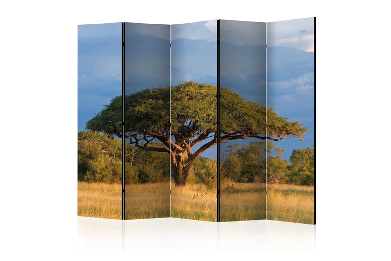 Rumsavdelare - African acacia tree, Hwange 225x172 - Artgeist sp. z o. o. - Rumsavdelare - Vikvägg