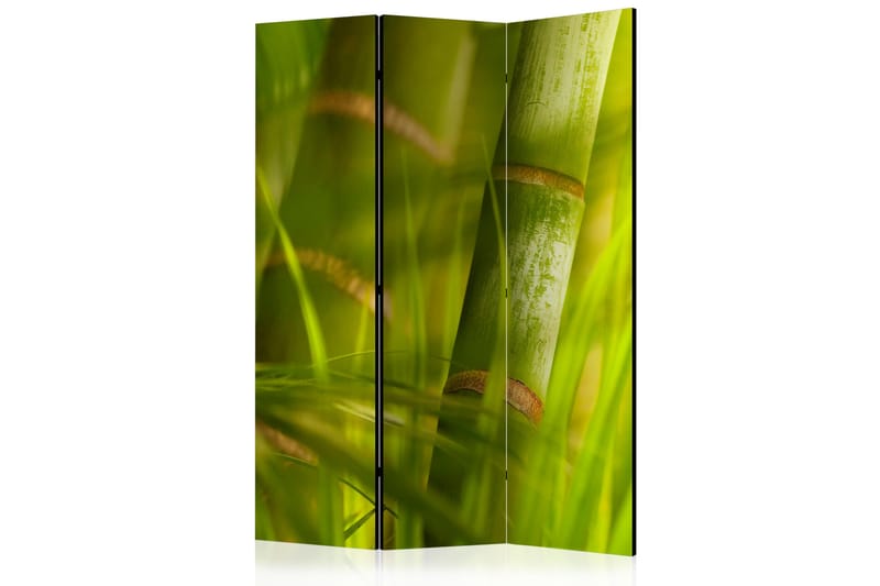 Rumsavdelare Bamboo - Nature Zen 135x172 cm - Artgeist sp. z o. o. - Rumsavdelare - Vikvägg