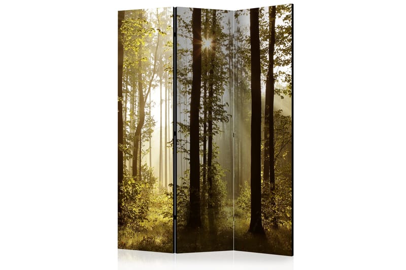 Rumsavdelare - Forest: Morning Sunlight  135x172 - Artgeist sp. z o. o. - Rumsavdelare - Vikvägg