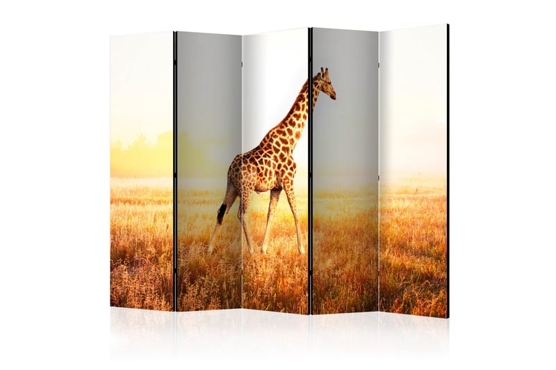 Rumsavdelare Giraffe - Walk II 225x172 cm - Artgeist sp. z o. o. - Rumsavdelare - Vikvägg