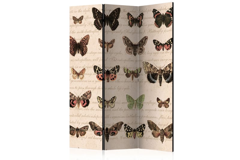 Rumsavdelare Retro Style Butterflies 135x172 - Artgeist sp. z o. o. - Rumsavdelare - Vikvägg