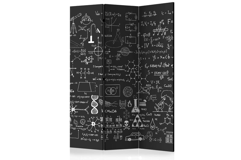Rumsavdelare - Science on Chalkboard 135x172 - Artgeist sp. z o. o. - Rumsavdelare - Vikvägg