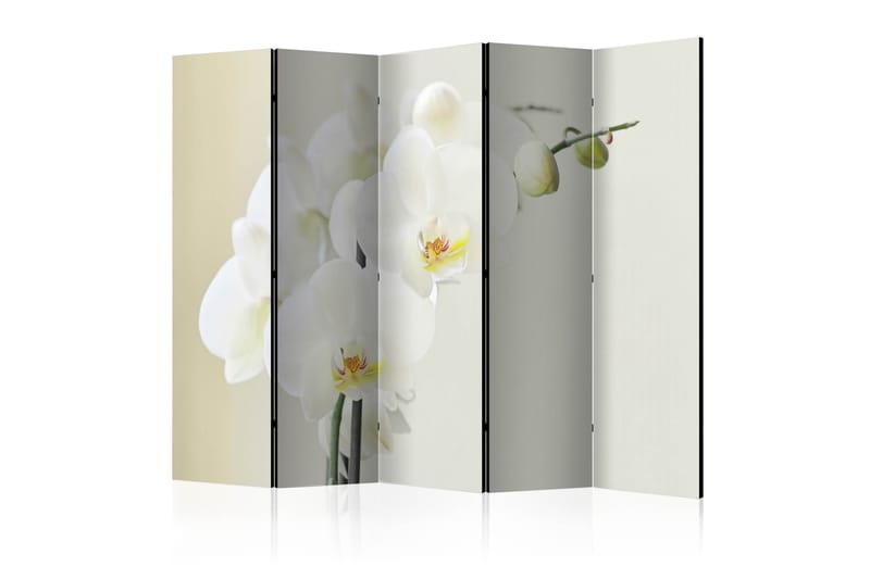 Rumsavdelare - White orchid II 225x172 - Artgeist sp. z o. o. - Rumsavdelare - Vikvägg