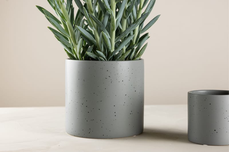 Sane Kruka - Mörkgrå - Inredning - Dekoration & inredningsdetaljer - Krukor & ytterkrukor