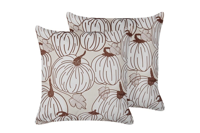 Prydnadskuddar Gourd set om 2