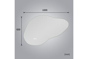 Badrumsspegel 100x65 cm med LED-belysning och anti-fog - Inredning - Spegel - Hallspegel