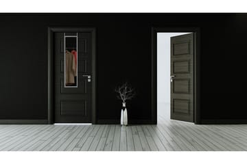 Spegel Ria 30x120 cm Silver - Silver - Inredning - Spegel - Dörrspegel