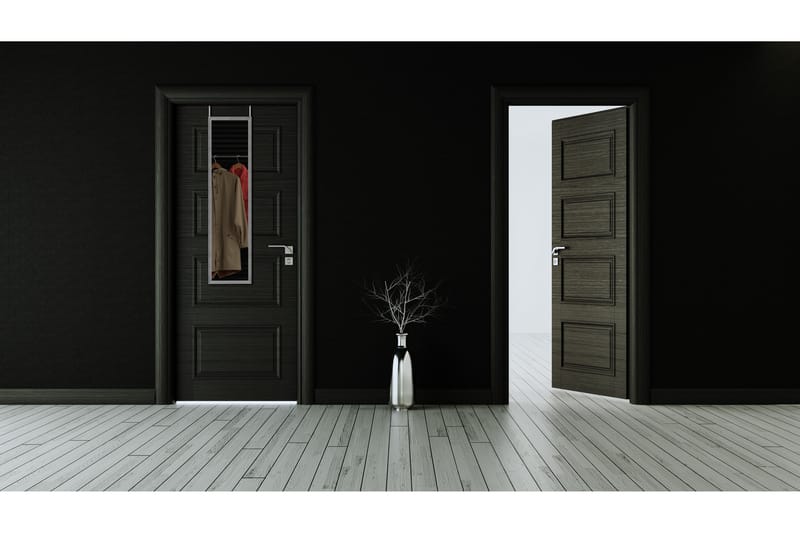 Spegel Ria 30x120 cm Silver - Silver - Inredning - Spegel - Dörrspegel