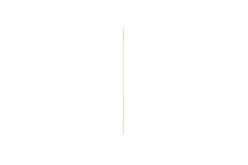 Spegel Josephine 30x70 cm Guld - Guld - Inredning - Spegel - Hallspegel