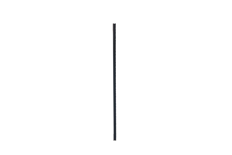 Spegel Tanja 50x150 cm Svart/Silver - Svart/Silver - Inredning - Spegel - Hallspegel