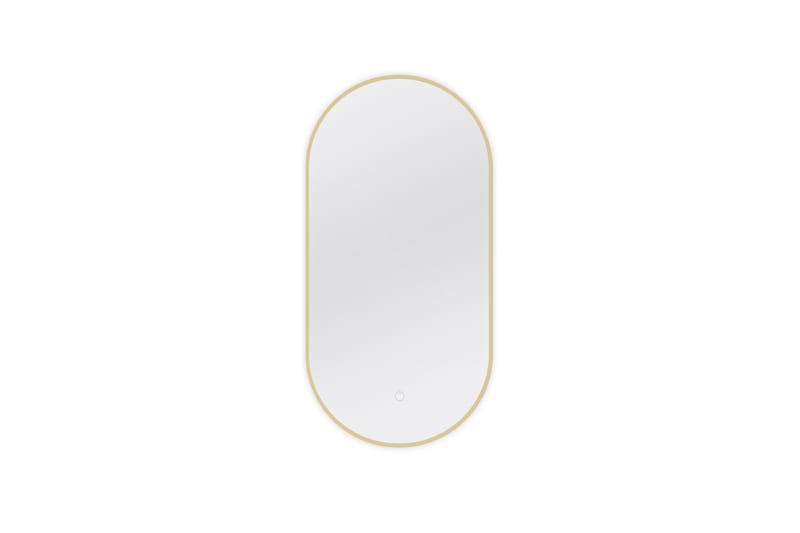 Vägghängd Spegel Micedi 50x100 cm - Guld - Inredning - Spegel - Hallspegel