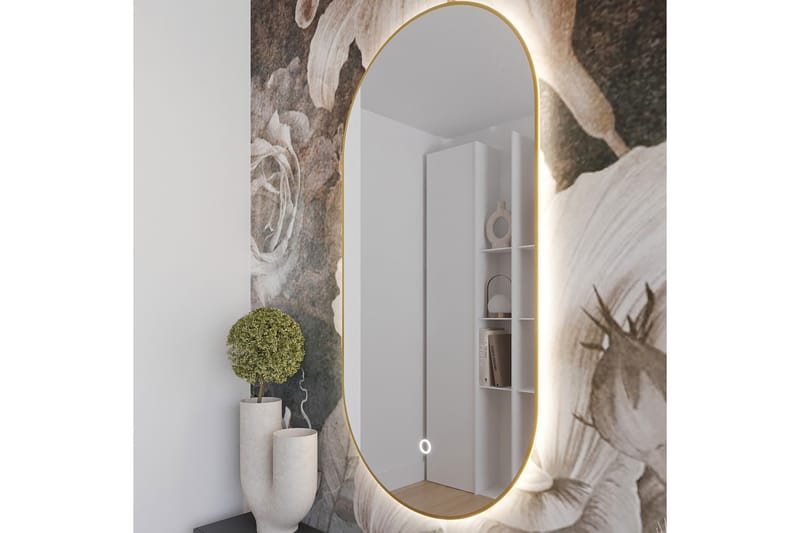 Vägghängd Spegel Micedi 50x100 cm - Guld - Inredning - Spegel - Hallspegel