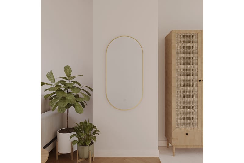 Vägghängd Spegel Micedi 50x100 cm - Guld - Inredning - Spegel - Hallspegel