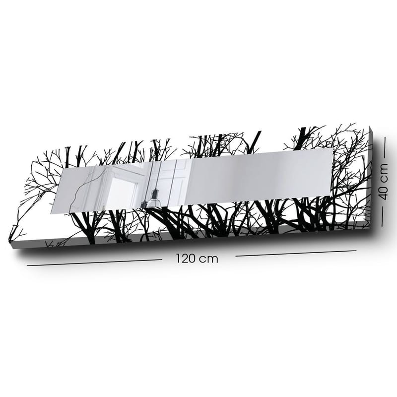 Dekorspegel 40x120 cm, Flerfärgad