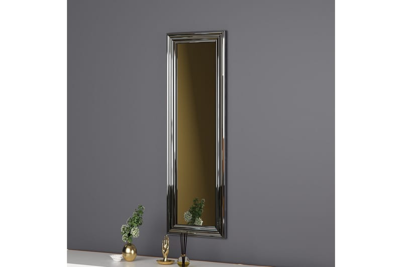 Spegel Ozze 30 cm Rektangulär - Silver - Hallspegel - Väggspegel