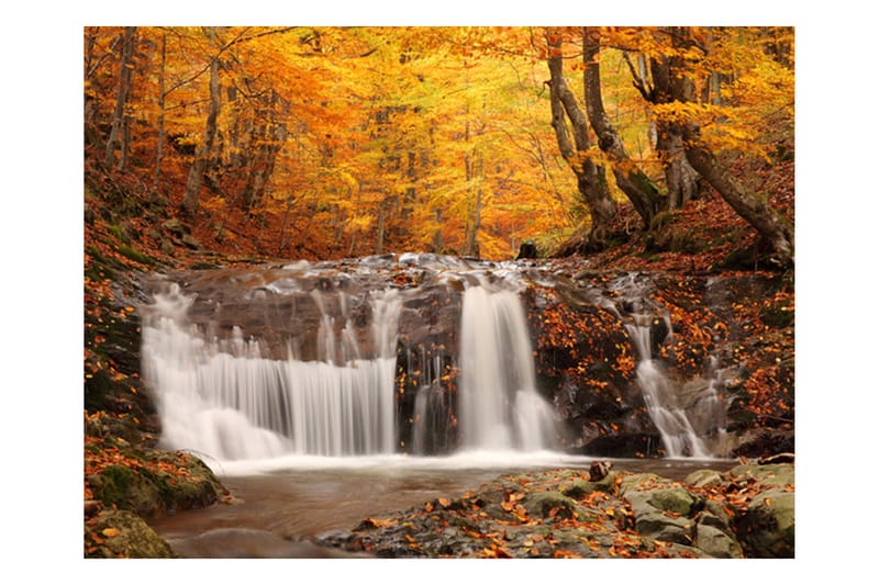 Fototapet Autumn Landscape Waterfall In Forest 200x154 - Artgeist sp. z o. o. - Tapeter vardagsrum - Fototapet - Kökstapeter - Tapeter sovrum & sovrumstapet