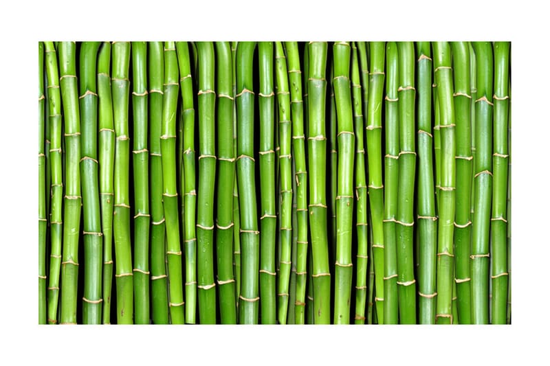 Fototapet Bamboo Wall 450x270 - Artgeist sp. z o. o. - Tapeter vardagsrum - Fototapet - Kökstapeter - Tapeter sovrum & sovrumstapet