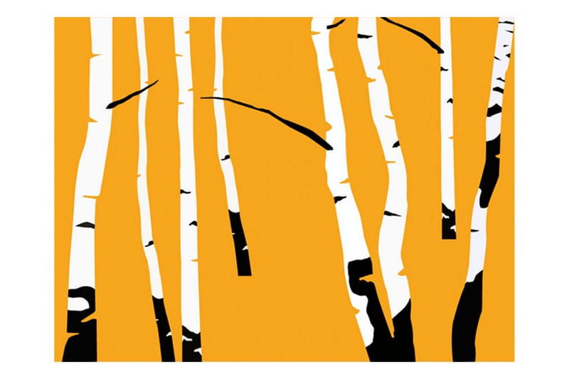 Fototapet Birches On The Orange Background 250x193 - Artgeist sp. z o. o. - Tapeter vardagsrum - Fototapet - Kökstapeter - Tapeter sovrum & sovrumstapet
