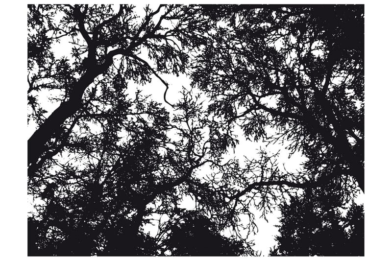 Fototapet Bleak Forest 350x270 - Artgeist sp. z o. o. - Tapeter vardagsrum - Fototapet - Kökstapeter - Tapeter sovrum & sovrumstapet