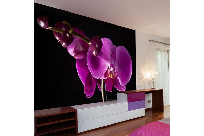 Fototapet Elegant Orchids 300x231 - Artgeist sp. z o. o. - Tapeter vardagsrum - Fototapet - Kökstapeter - Tapeter sovrum & sovrumstapet