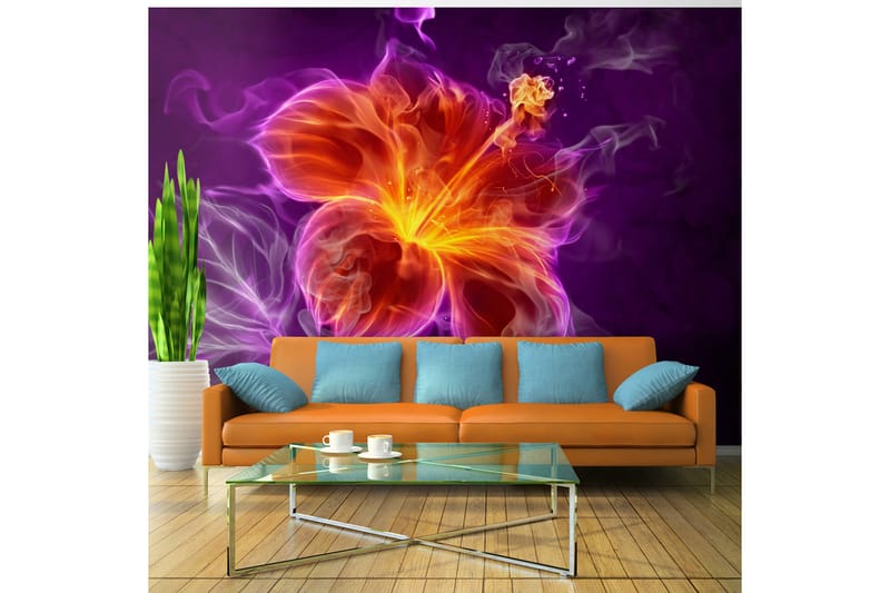 Fototapet Fiery Flower In Purple 300x210 - Artgeist sp. z o. o. - Tapeter vardagsrum - Tapeter sovrum & sovrumstapet - Kökstapeter - Fototapet