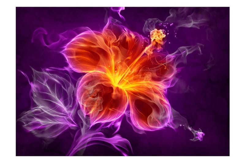 Fototapet Fiery Flower In Purple 150x105 - Artgeist sp. z o. o. - Tapeter vardagsrum - Fototapet - Kökstapeter - Tapeter sovrum & sovrumstapet