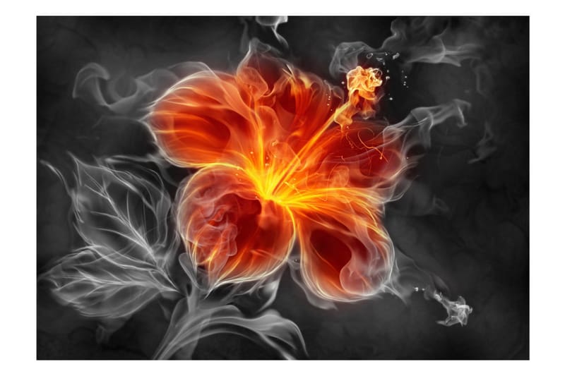 Fototapet Fiery Flower Inside The Smoke 200x140 - Artgeist sp. z o. o. - Tapeter vardagsrum - Fototapet - Kökstapeter - Tapeter sovrum & sovrumstapet