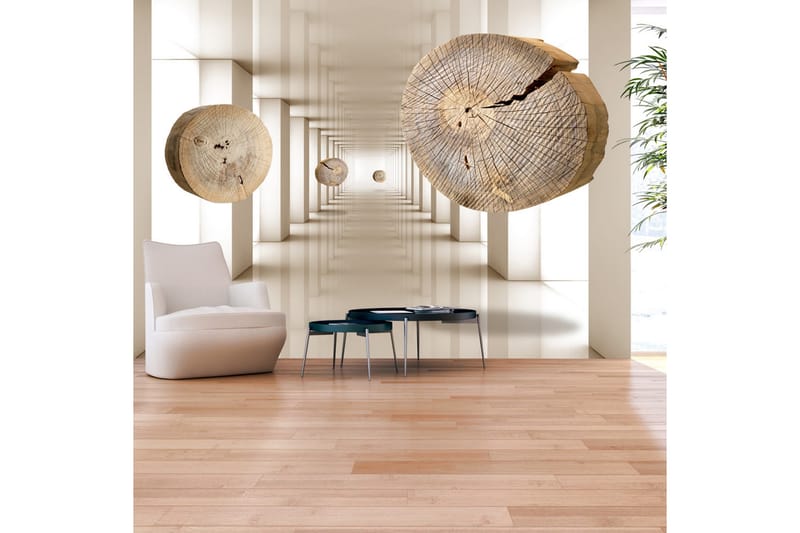 Fototapet Flying Discs Of Wood 150x105 - Artgeist sp. z o. o. - Tapeter vardagsrum - Fototapet - Kökstapeter - Tapeter sovrum & sovrumstapet