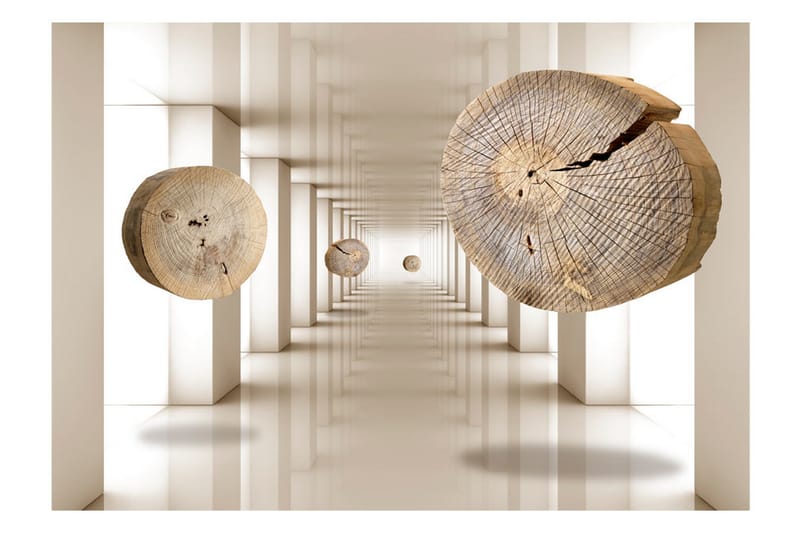 Fototapet Flying Discs Of Wood 250x175 - Artgeist sp. z o. o. - Tapeter vardagsrum - Fototapet - Kökstapeter - Tapeter sovrum & sovrumstapet