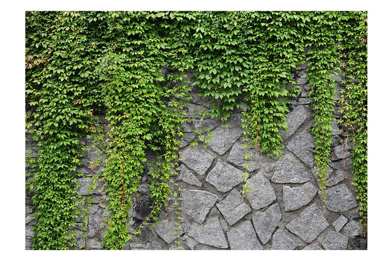 Fototapet Green Wall 150x105 - Artgeist sp. z o. o. - Tapeter vardagsrum - Fototapet - Kökstapeter - Tapeter sovrum & sovrumstapet
