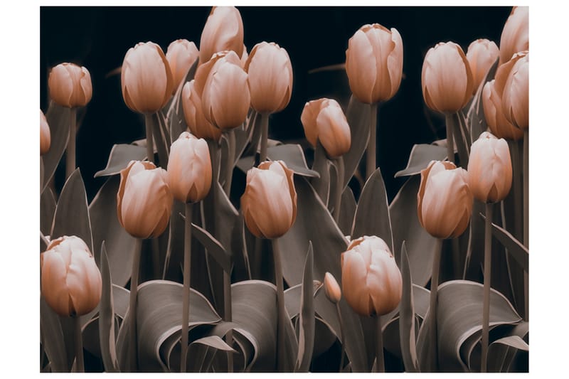 Fototapet Ladies Among The Flowers 300x231 - Artgeist sp. z o. o. - Tapeter vardagsrum - Fototapet - Kökstapeter - Tapeter sovrum & sovrumstapet