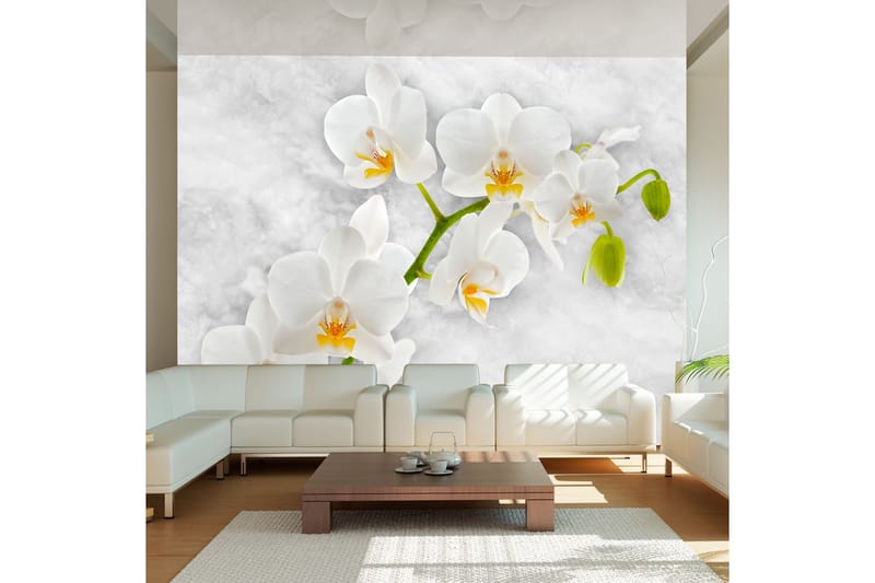 Fototapet Lyrical Orchid White 300x210 - Artgeist sp. z o. o. - Tapeter vardagsrum - Fototapet - Kökstapeter - Tapeter sovrum & sovrumstapet