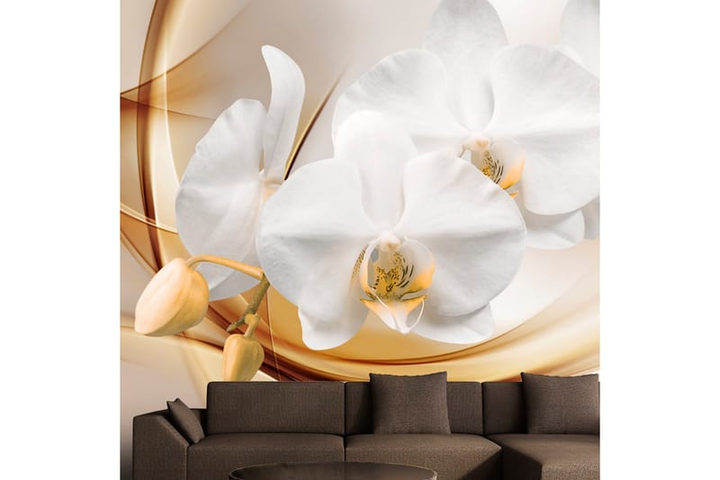Fototapet Orchid Blossom 100x70 - Artgeist sp. z o. o. - Tapeter vardagsrum - Fototapet - Kökstapeter - Tapeter sovrum & sovrumstapet