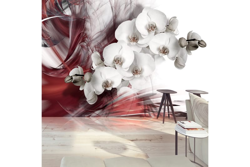 Fototapet Orchid In Red 200x140 - Artgeist sp. z o. o. - Tapeter vardagsrum - Fototapet - Kökstapeter - Tapeter sovrum & sovrumstapet