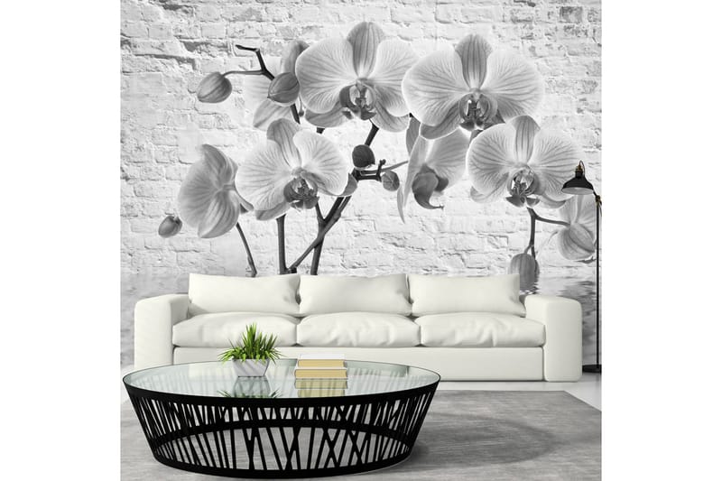 Fototapet Orchid In Shades Of Gray 200x140 - Artgeist sp. z o. o. - Tapeter vardagsrum - Fototapet - Kökstapeter - Tapeter sovrum & sovrumstapet