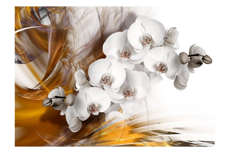 Fototapet Orchid On Fire 150x105 - Artgeist sp. z o. o. - Tapeter vardagsrum - Fototapet - Kökstapeter - Tapeter sovrum & sovrumstapet