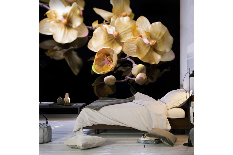 Fototapet Orchids In Ecru Color 300x231 - Artgeist sp. z o. o. - Tapeter vardagsrum - Fototapet - Kökstapeter - Tapeter sovrum & sovrumstapet