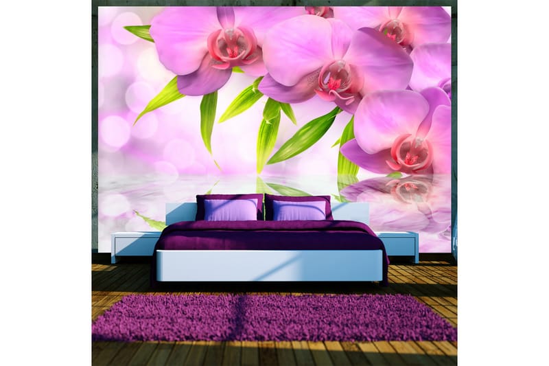 Fototapet Orchids In Lilac Colour 300x210 - Artgeist sp. z o. o. - Tapeter vardagsrum - Fototapet - Kökstapeter - Tapeter sovrum & sovrumstapet