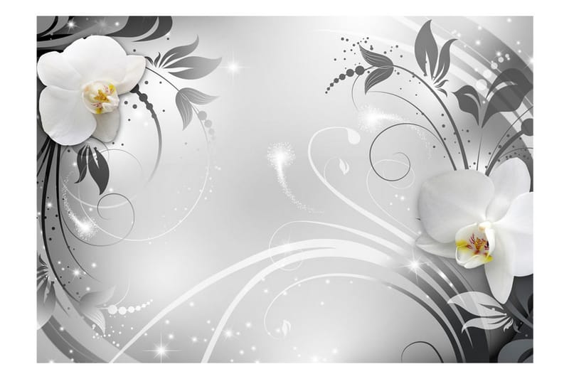 Fototapet Orchids On Silver 300x210 - Artgeist sp. z o. o. - Tapeter vardagsrum - Fototapet - Kökstapeter - Tapeter sovrum & sovrumstapet