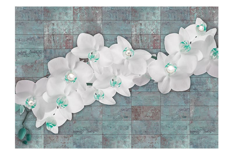 Fototapet Orchids With Pearls 300x210 - Artgeist sp. z o. o. - Tapeter vardagsrum - Tapeter sovrum & sovrumstapet - Kökstapeter - Fototapet