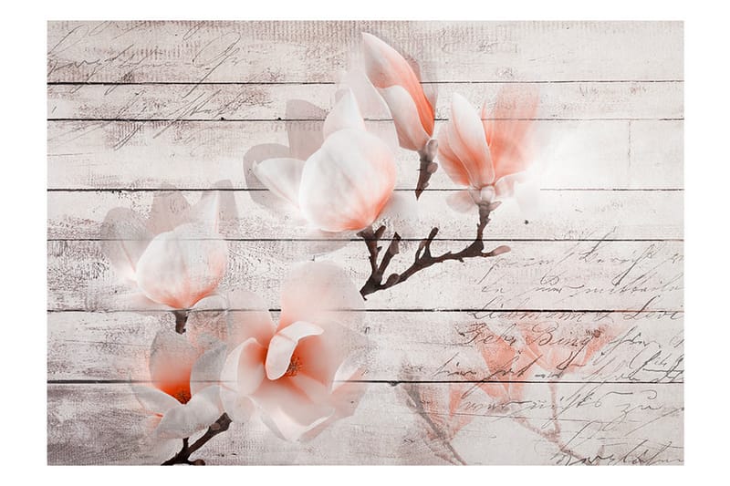 Fototapet Subtlety Of The Magnolia 100x70 - Artgeist sp. z o. o. - Tapeter vardagsrum - Fototapet - Kökstapeter - Tapeter sovrum & sovrumstapet