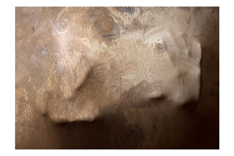 Fototapet The Warmth Of Your Hand 250x175 - Artgeist sp. z o. o. - Tapeter vardagsrum - Fototapet - Kökstapeter - Tapeter sovrum & sovrumstapet