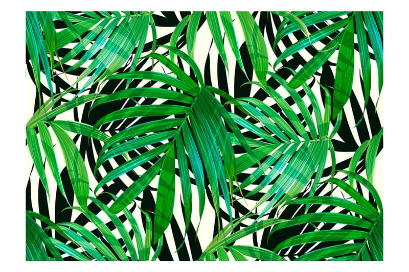 Fototapet Tropical Leaves 100x70 - Artgeist sp. z o. o. - Tapeter vardagsrum - Fototapet - Kökstapeter - Tapeter sovrum & sovrumstapet