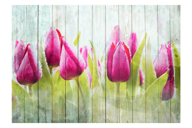Fototapet Tulips On White Wood 100x70 - Artgeist sp. z o. o. - Tapeter vardagsrum - Fototapet - Kökstapeter - Tapeter sovrum & sovrumstapet