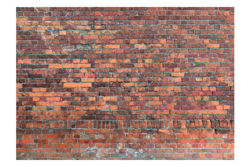 Fototapet Vintage Wall Red Brick 300x210 - Artgeist sp. z o. o. - Tapeter vardagsrum - Fototapet - Kökstapeter - Tapeter sovrum & sovrumstapet