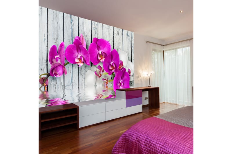 Fototapet Violet Orchids With Water Reflexion 250x193 - Artgeist sp. z o. o. - Tapeter vardagsrum - Fototapet - Kökstapeter - Tapeter sovrum & sovrumstapet