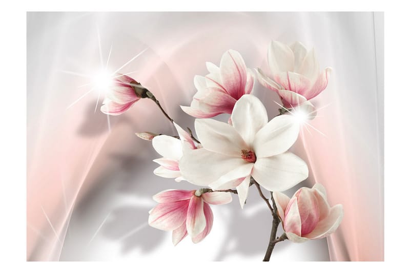 Fototapet White Magnolias 300x210 - Artgeist sp. z o. o. - Tapeter vardagsrum - Fototapet - Kökstapeter - Tapeter sovrum & sovrumstapet